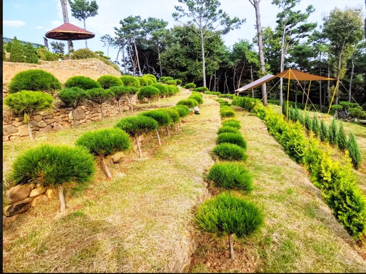 하늘공원수목장 6