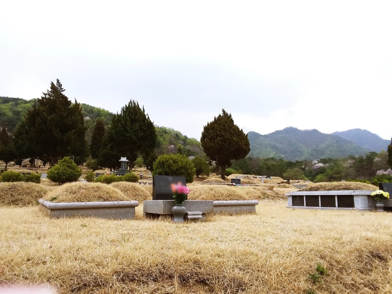 자하연 포천 3