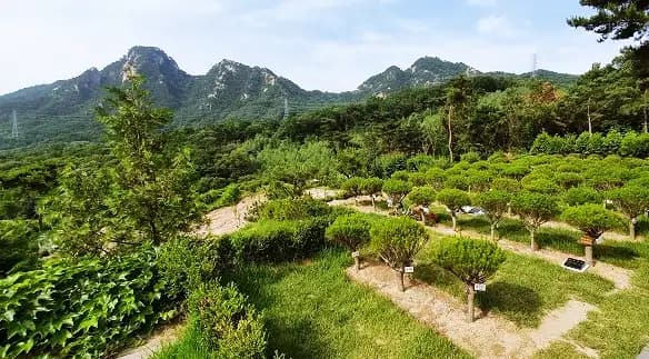 하늘소풍수목장 3
