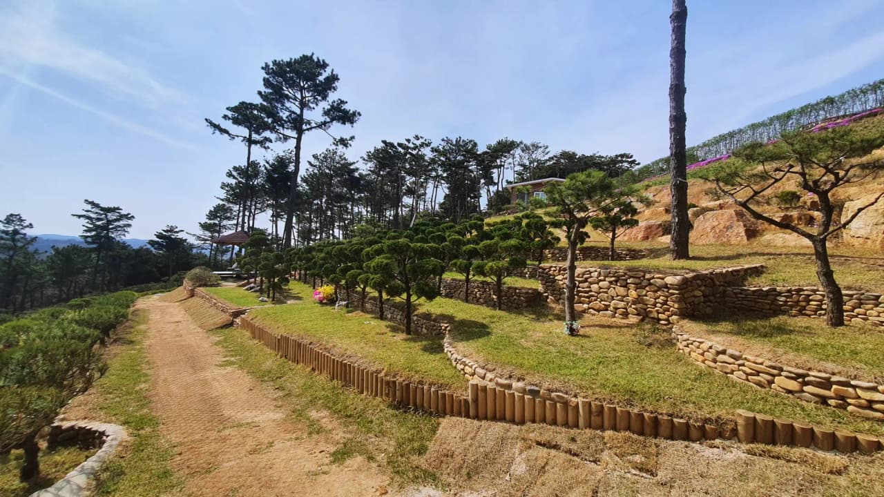 하늘공원수목장 1