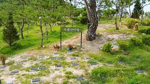 하늘소풍수목장 5