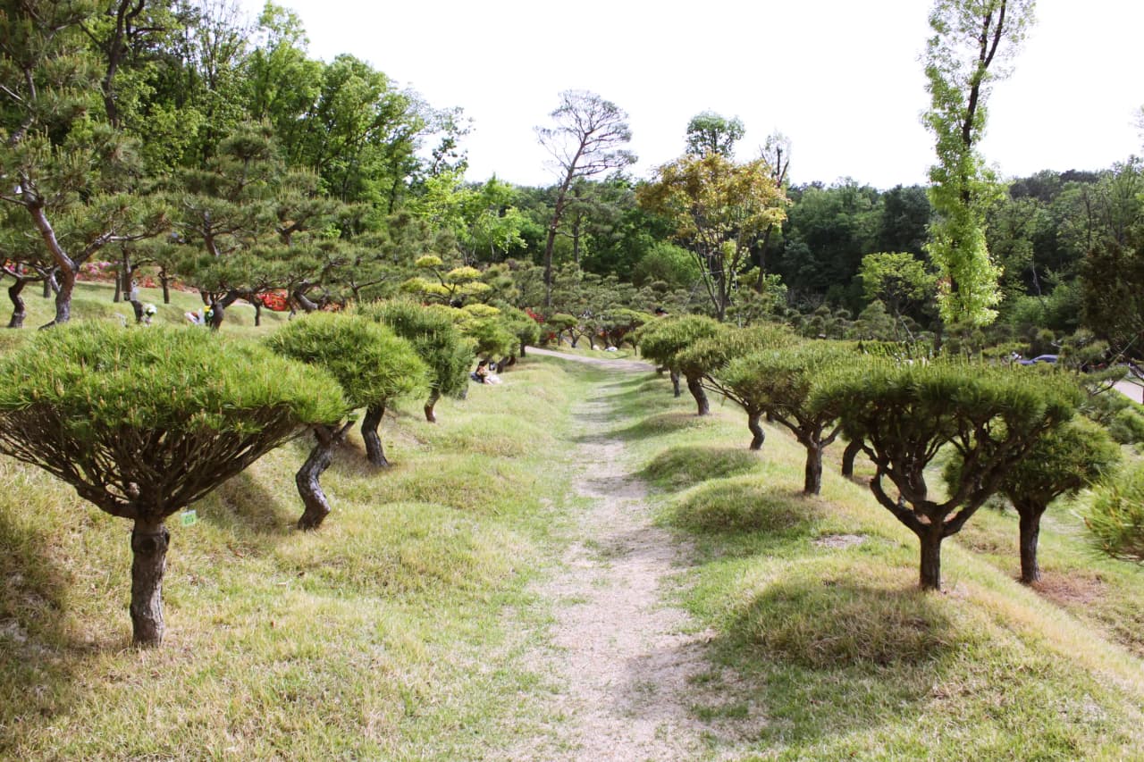 자연애숲수목장 6