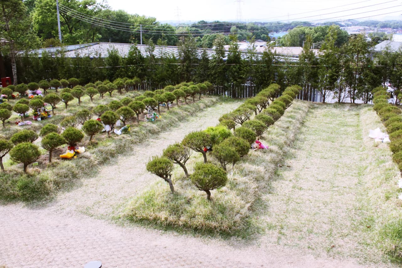자연애숲수목장 4