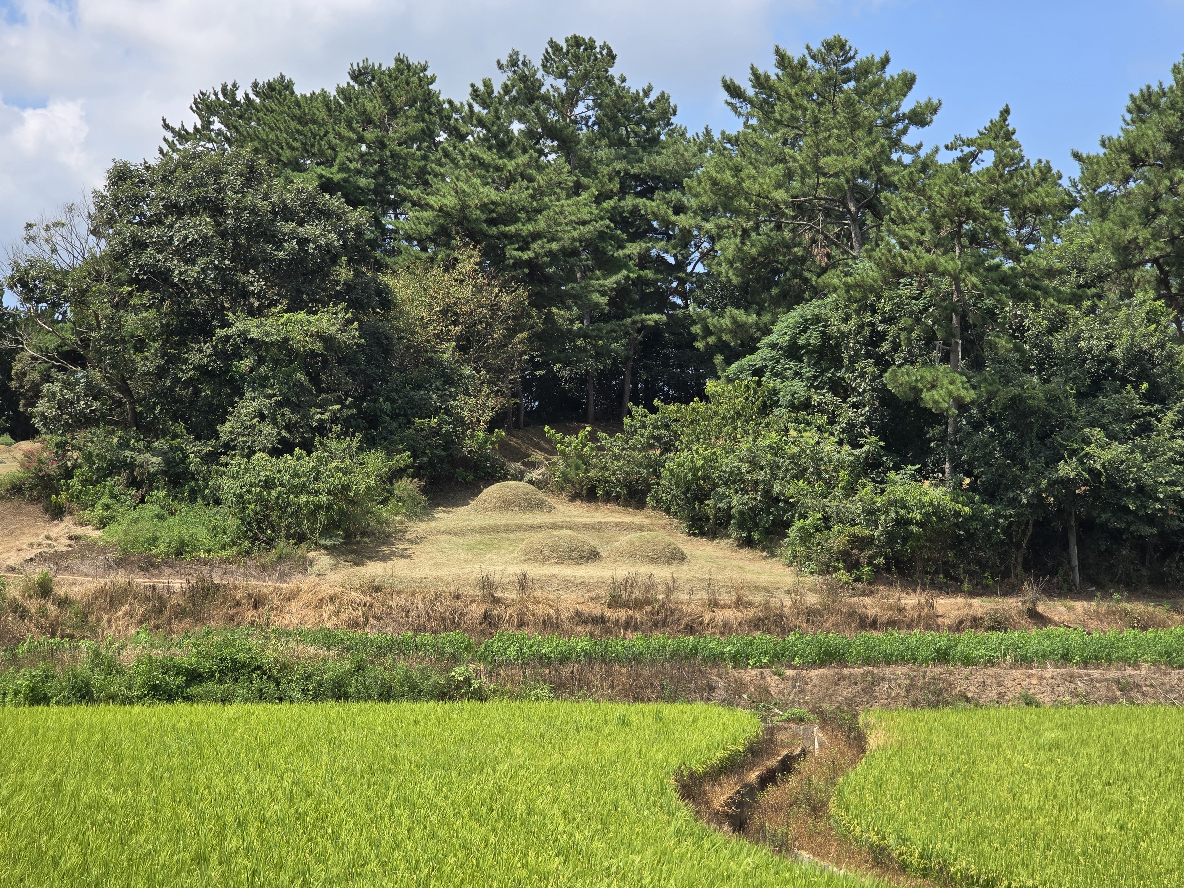 작업후 사진