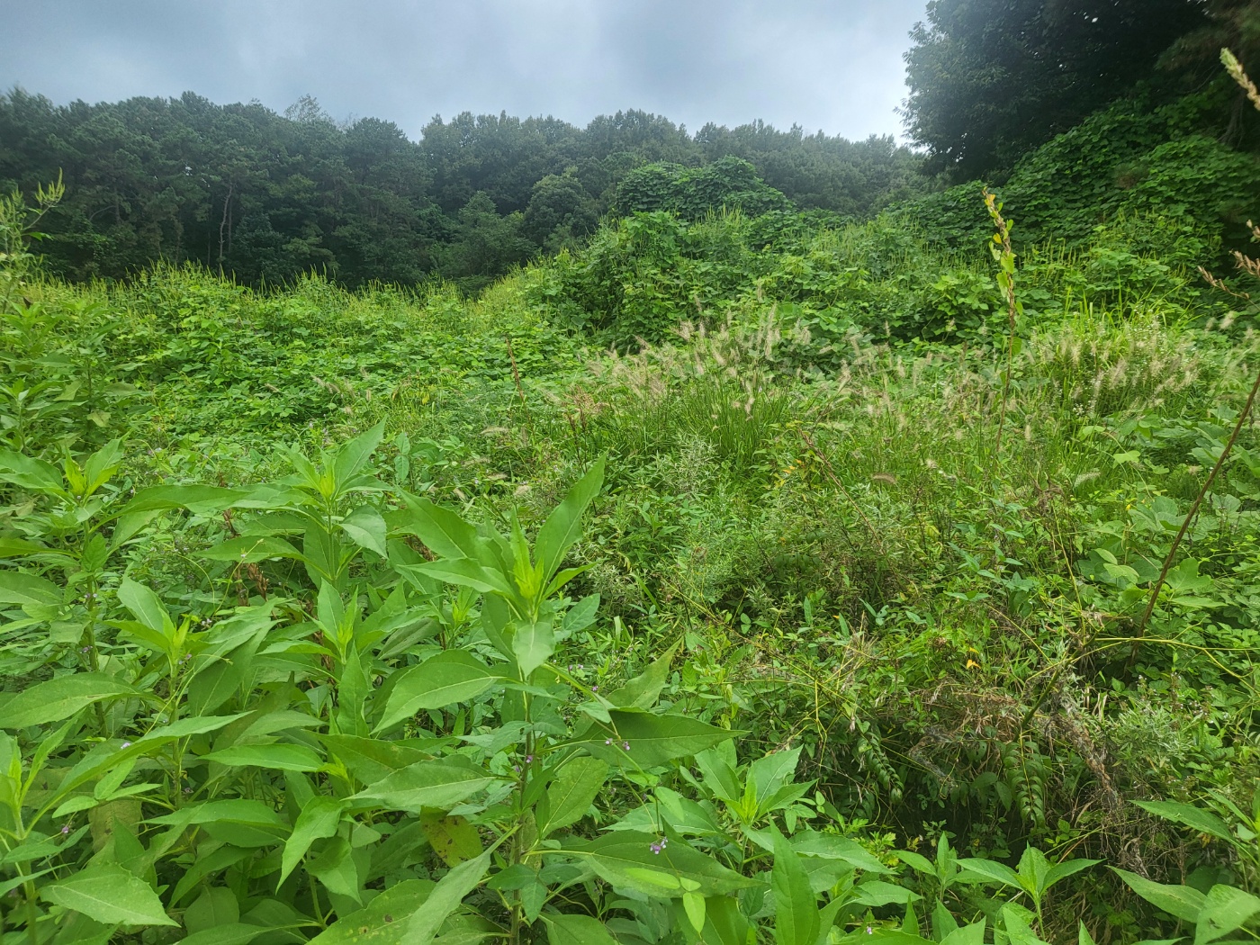 작업전 사진