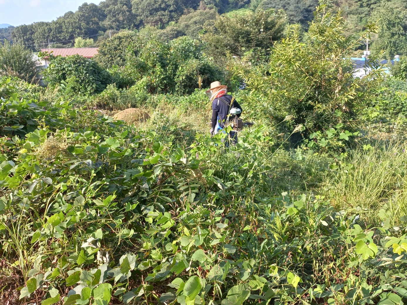 작업전 사진